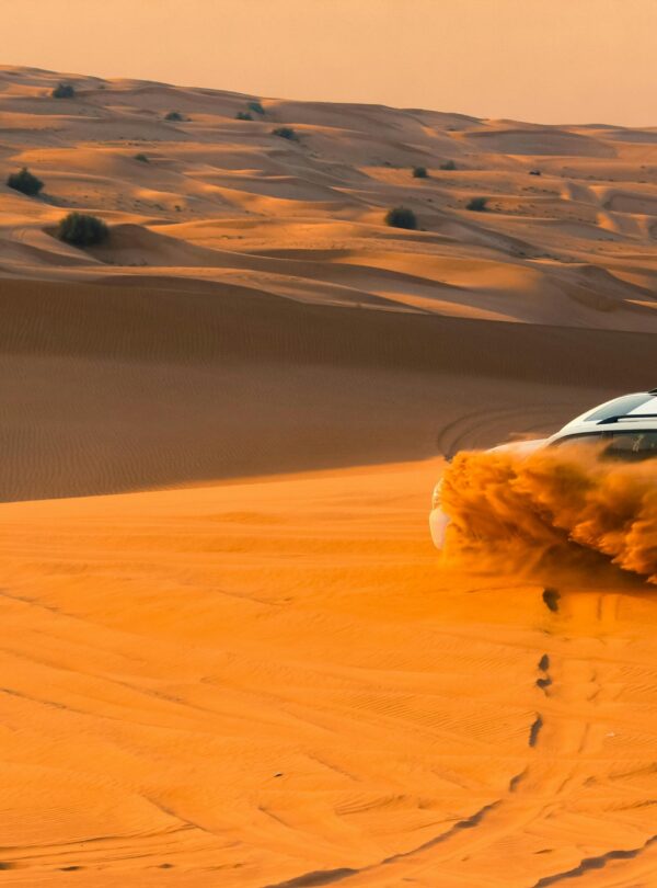 A Desert Safari