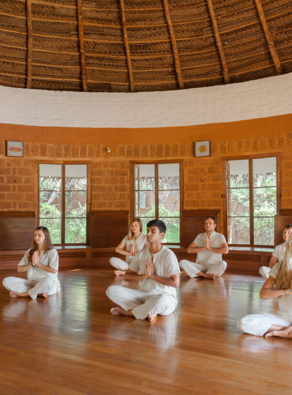 Wellness In India