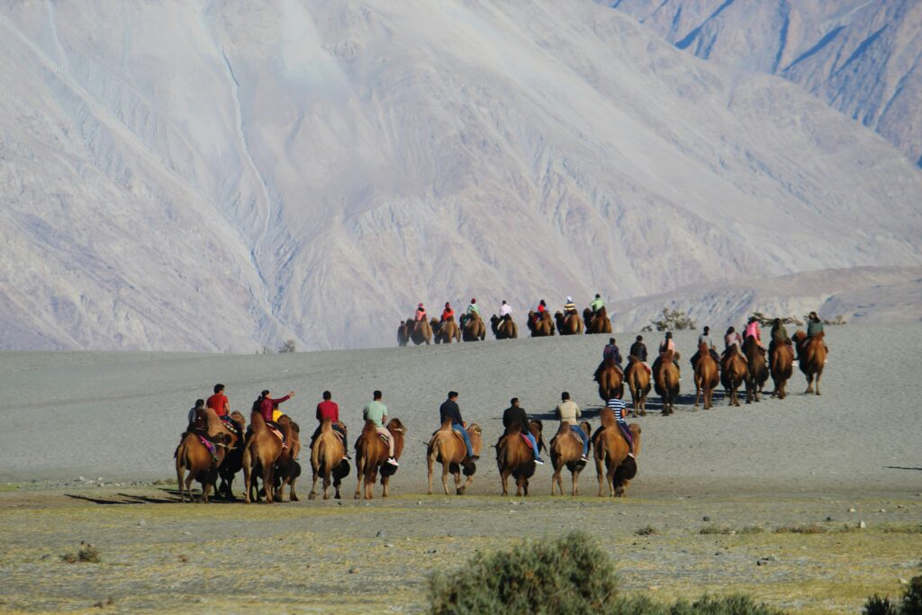 Nubra,Ladhak,India