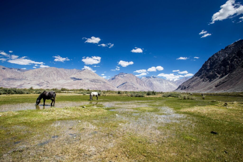 Nubra Valley, located in Ladakh