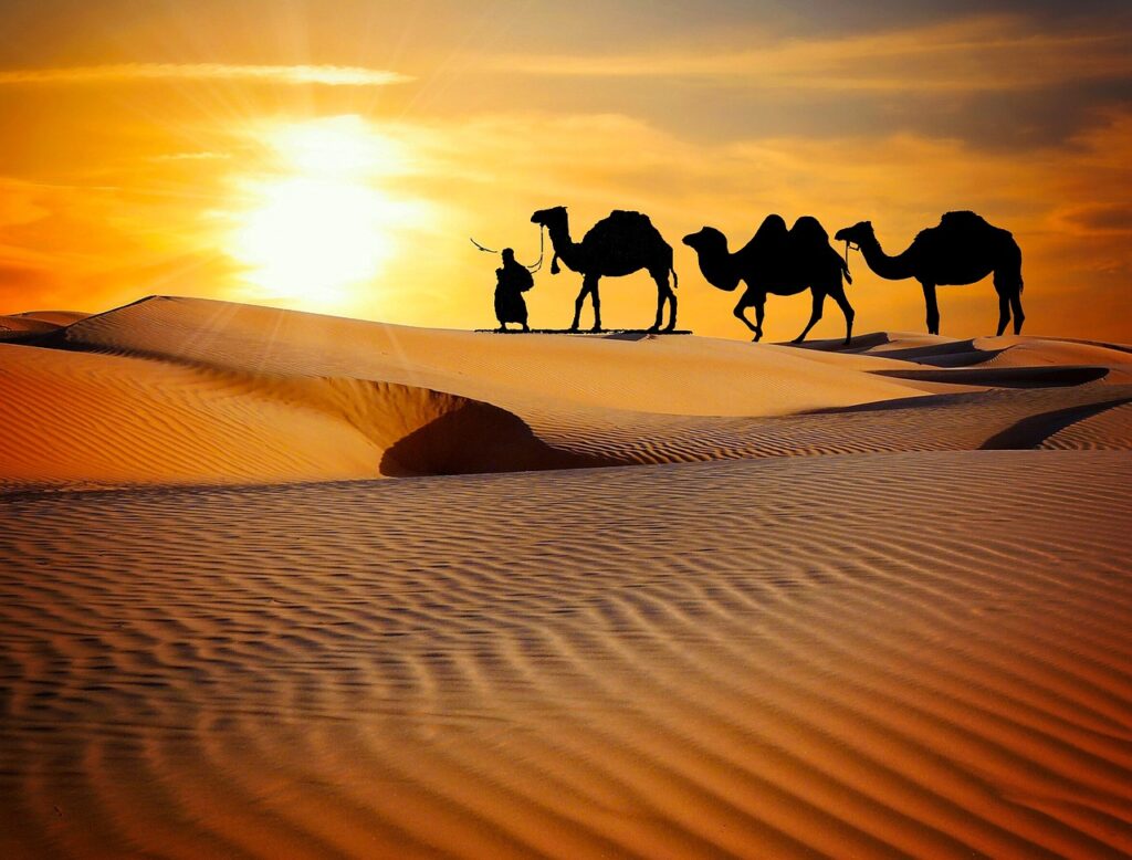 Best Season And Places to Visit In Rajasthan