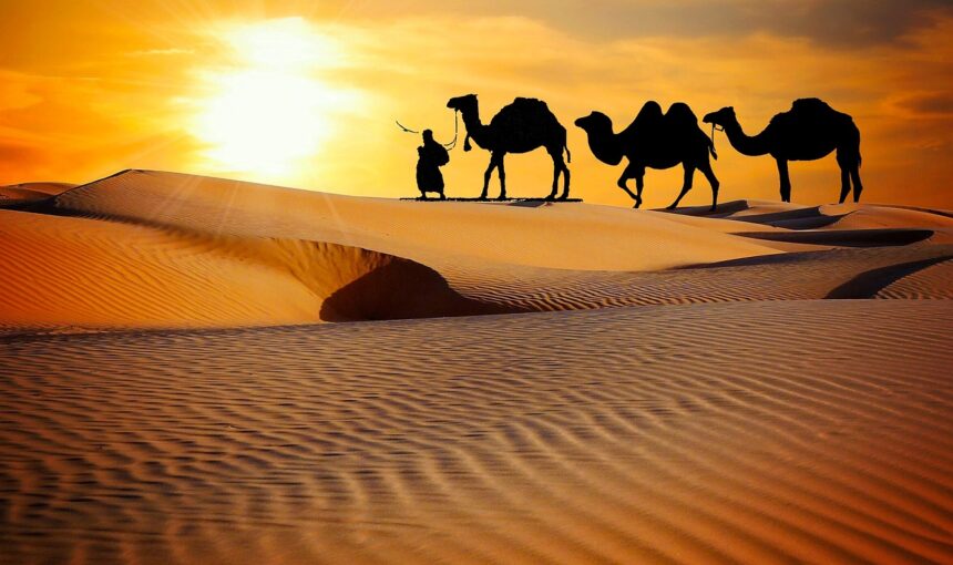 Ultimate Guide:  Best Season And Places to Visit In Rajasthan