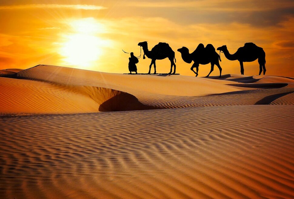 Best Season And Places to Visit In Rajasthan