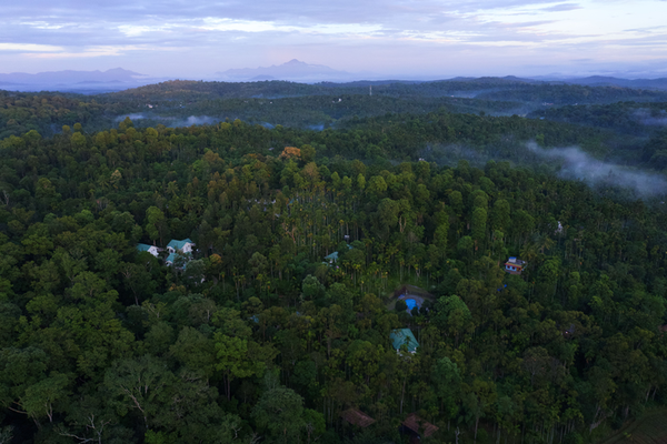 The Woods Resorts at Wayanad